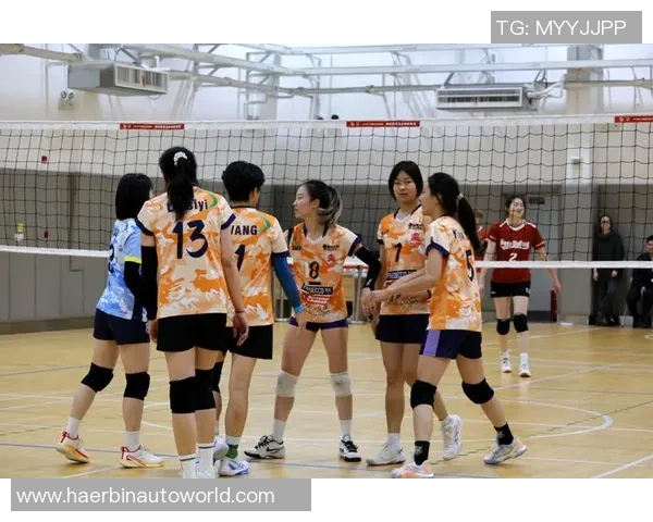 成都排球队的节奏与魅力探秘：排球运动在城市中的发展与影响